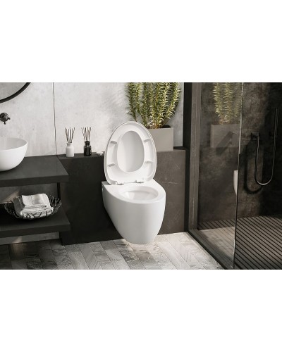 Унитаз Abber Bequem AC1107P подвесной с сиденьем Микролифт