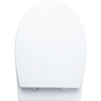 Унитаз Aquanet ZV-1 303977 подвесной с сиденьем Микролифт