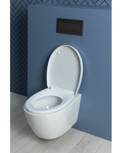 Унитаз Aquanet ZV-1 303977 подвесной с сиденьем Микролифт