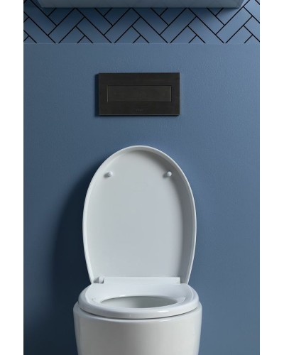 Унитаз Aquanet ZV-1 303977 подвесной с сиденьем Микролифт