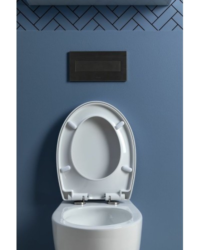 Унитаз Aquanet ZV-1 303977 подвесной с сиденьем Микролифт