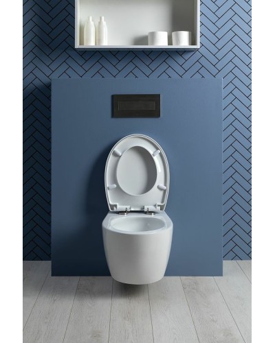 Унитаз Aquanet ZV-1 303977 подвесной с сиденьем Микролифт