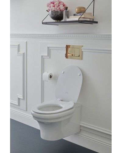 Унитаз Jacob Delafon Cleo 1889 EDZ102-0 подвесной без сиденья