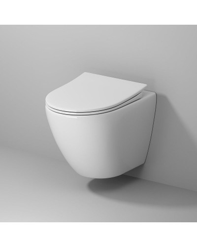 Унитаз Niagara Vista NG-9301 подвесной с сиденьем Микролифт