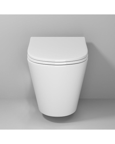 Унитаз Niagara Vista NG-9302 подвесной с сиденьем Микролифт