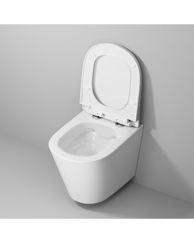 Унитаз Niagara Vista NG-9302 подвесной с сиденьем Микролифт