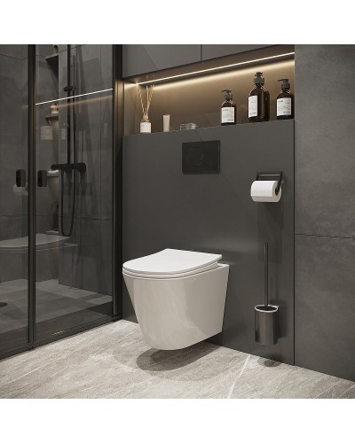 Унитаз Niagara Vista NG-9302 подвесной с сиденьем Микролифт