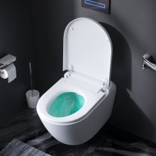 Унитаз-биде AM.PM Sensation CCC301700SC подвесной с сиденьем Микролифт