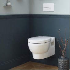 Унитаз Jacob Delafon Ove E1585-00 подвесной с сиденьем Микролифт