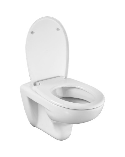 Унитаз Roca Mateo 346200000 подвесной без сиденья