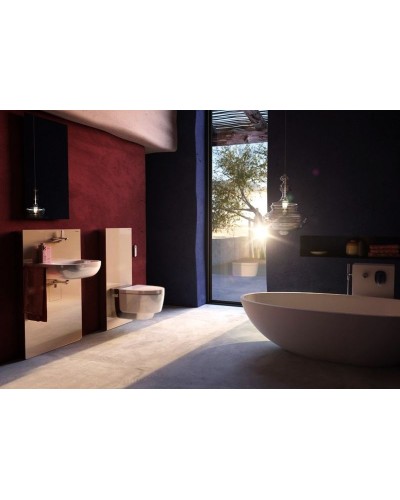 Унитаз биде Geberit AquaClean Mera Comfort 146.214.21.1 Белый альпин/Хром