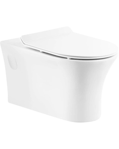 Подвесной безободковый унитаз BelBagno Ancona BB1224CHR-SM