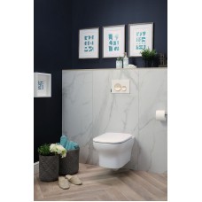 Унитаз Jacob Delafon Vox EDM102-00 подвесной без сиденья