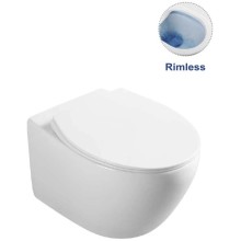 Унитаз подвесной Vincea Felice VT1-25 безободковый, с сиденьем микролифт, белый