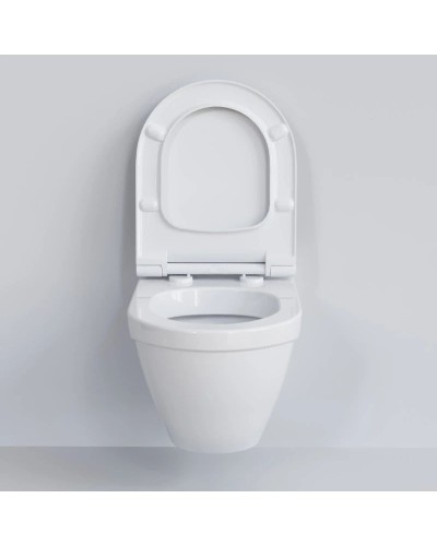 Подвесной безободковый унитаз Ambassador Nord 133T20001