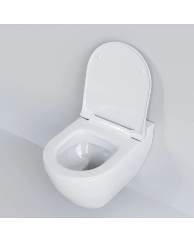 Подвесной безободковый унитаз Ambassador Nord 133T20001