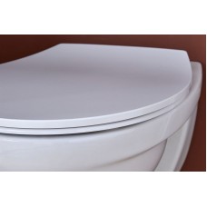 Унитаз Jacob Delafon Patio EDV102-00 подвесной без сиденья