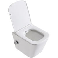 Подвесной безободковый унитаз с функцией биде с сиденьем микролифт BelBagno Due BB3103CHR-BS/SC