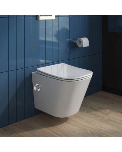 Подвесной безободковый унитаз с функцией биде с сиденьем микролифт BelBagno Due BB3103CHR-BS/SC