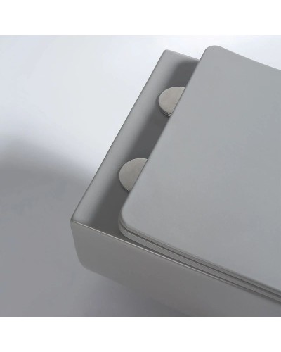 Подвесной безободковый унитаз с сиденьем микролифт Vincea Evo VT1-34SMG