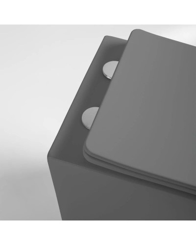 Подвесной безободковый унитаз с сиденьем микролифт Vincea Globo VT1-14SMA