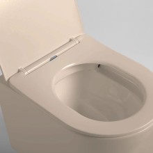 Подвесной безободковый унитаз с сиденьем микролифт Vincea Piatti VT1-11SMC