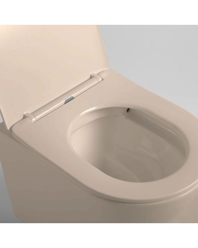 Подвесной безободковый унитаз с сиденьем микролифт Vincea Piatti VT1-11SMC
