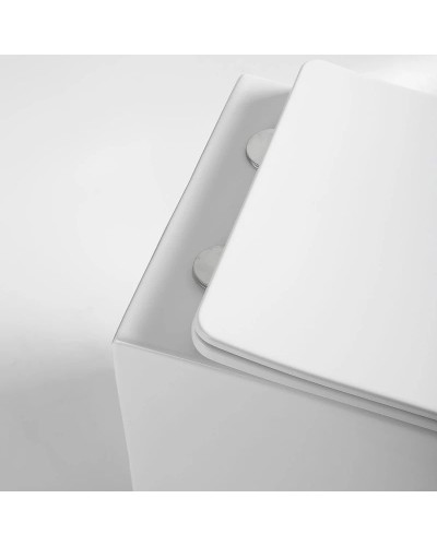 Подвесной безободковый унитаз с сиденьем микролифт Vincea Piatti VT1-11S