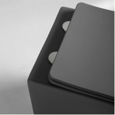 Подвесной безободковый унитаз с сиденьем микролифт Vincea Piatti VT1-11SMA