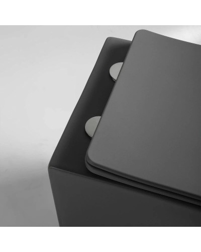 Подвесной безободковый унитаз с сиденьем микролифт Vincea Piatti VT1-11SMA