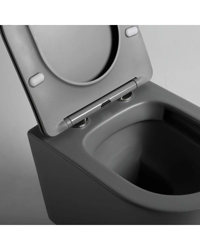 Подвесной безободковый унитаз с сиденьем микролифт Vincea Piatti VT1-11SMA