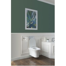 Унитаз Aquanet Roll-W 210766 подвесной с сиденьем Микролифт