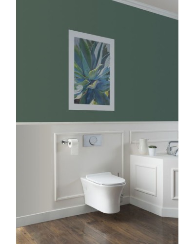 Унитаз Aquanet Roll-W 210766 подвесной с сиденьем Микролифт