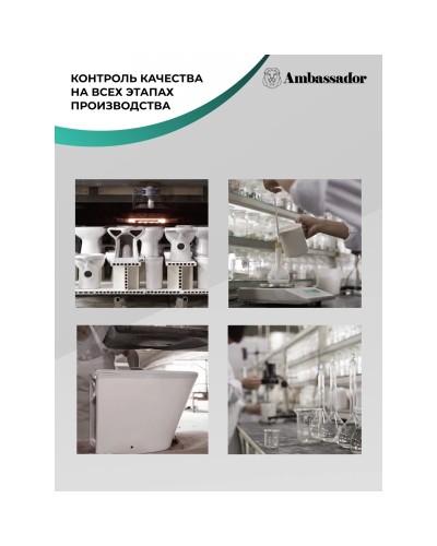 Унитаз подвесной Ambassador Kingston 143K19003RS безободковый, с сиденьем микролифт, белый глянец