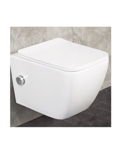 Унитаз подвесной Torino безободковый функция биде (крышка дюропласт-микролифт) Z19-21