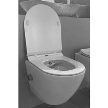 Подвесной унитаз Rimini Z19-03 Zandini