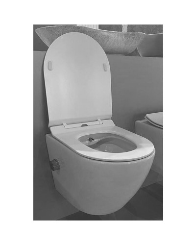 Подвесной унитаз Rimini Z19-03 Zandini