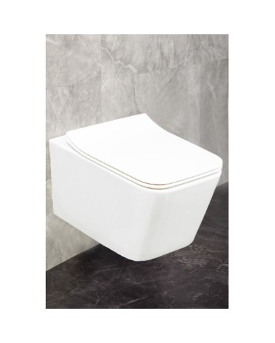 Подвесной унитаз Trento Z19-66 Zandini