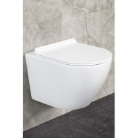 УНИТАЗ ПОДВЕСНОЙ БЕЗОБОДКОВЫЙ REINE (крышка дюропласт-микролифт)