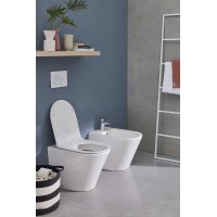 Унитаз Jacob Delafon Rodin+ EDAA102-00 приставной без сиденья