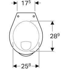 Приставной унитаз Geberit Bambini 211500000
