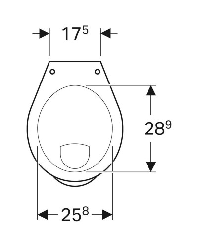 Приставной унитаз Geberit Bambini 211500000