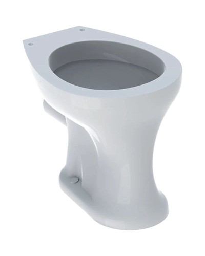 Приставной унитаз Geberit Bambini 211500000