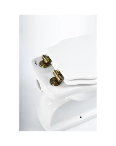 Приставной унитаз BelBagno Boheme BB115CBS