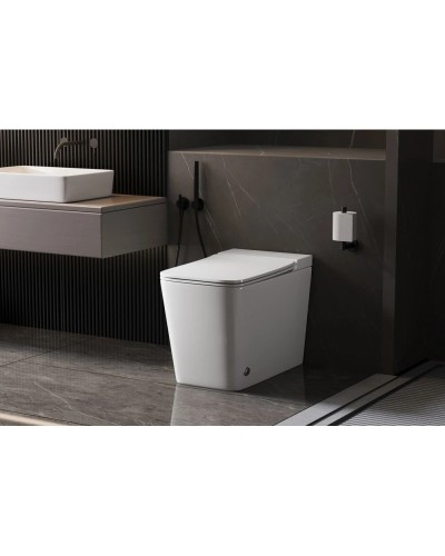 Напольный унитаз с сиденьем микролифт с импульсным смывом Abber Rechteck AC1213P