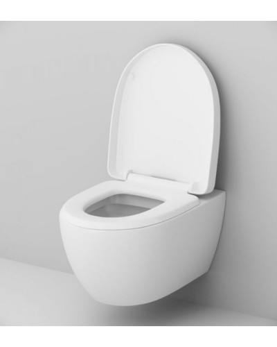 Комплект унитаза с инсталляцией AM.PM Awe IS49051.111738 с сиденьем Микролифт и клавишей смыва Хром