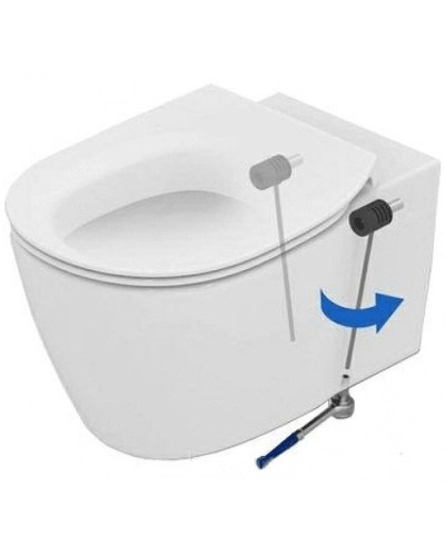 Комплект унитаза с инсталляцией Ideal Standard Connect P211601 с сиденьем Микролифт и клавишей смыва Хром