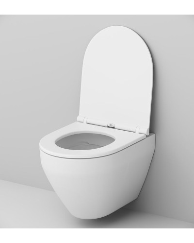 Комплект унитаза с инсталляцией AM.PM Spirit V2.0 CK70HA с сиденьем Микролифт с клавишей смыва Хром с гигиеническим душем и аксессуарами для ванной к