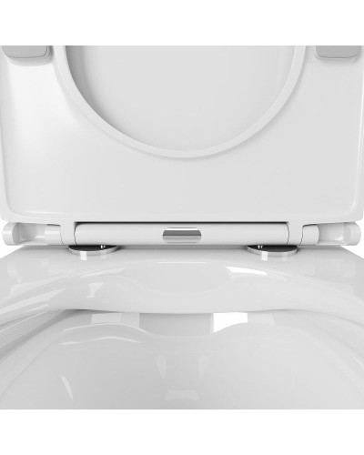 Комплект унитаза Owl 1975 Vind Ruta-H OWLT190304 с сиденьем Микролифт и инсталляцией Jacob Delafon E29025-NF+E4316-CP с клавишей смыва Хром