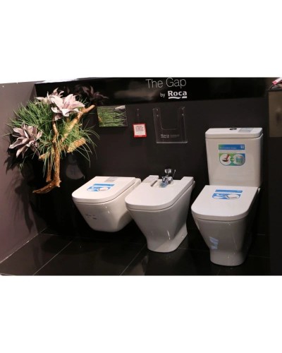 Комплект подвесной унитаз Roca The Gap 346477000 + 801472004 + система инсталляции Jacob Delafon E33131RU-NF + E20859-CP-MTC